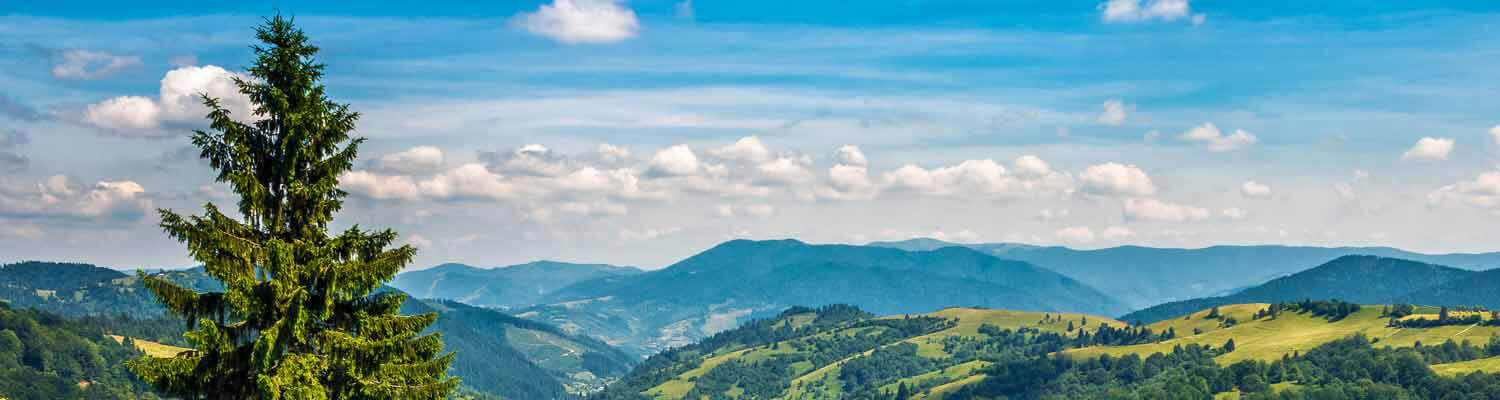 blue sky day trips near morley